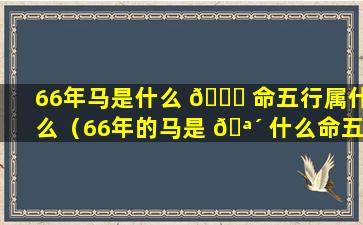 66年马是什么 🐕 命五行属什么（66年的马是 🪴 什么命五行属什么缺什么）